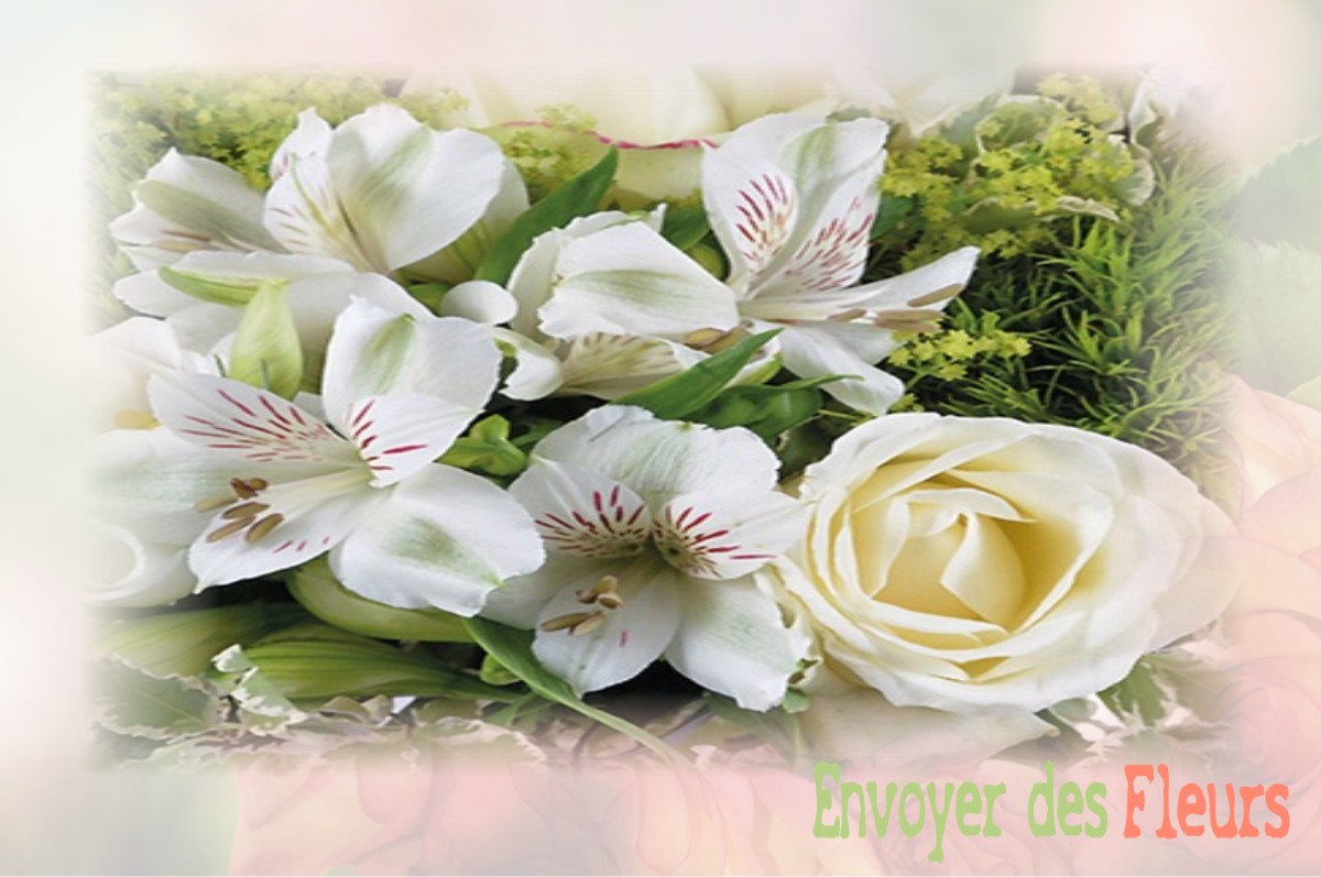 envoyer des fleurs à à DAMPIERRE-SAINT-NICOLAS
